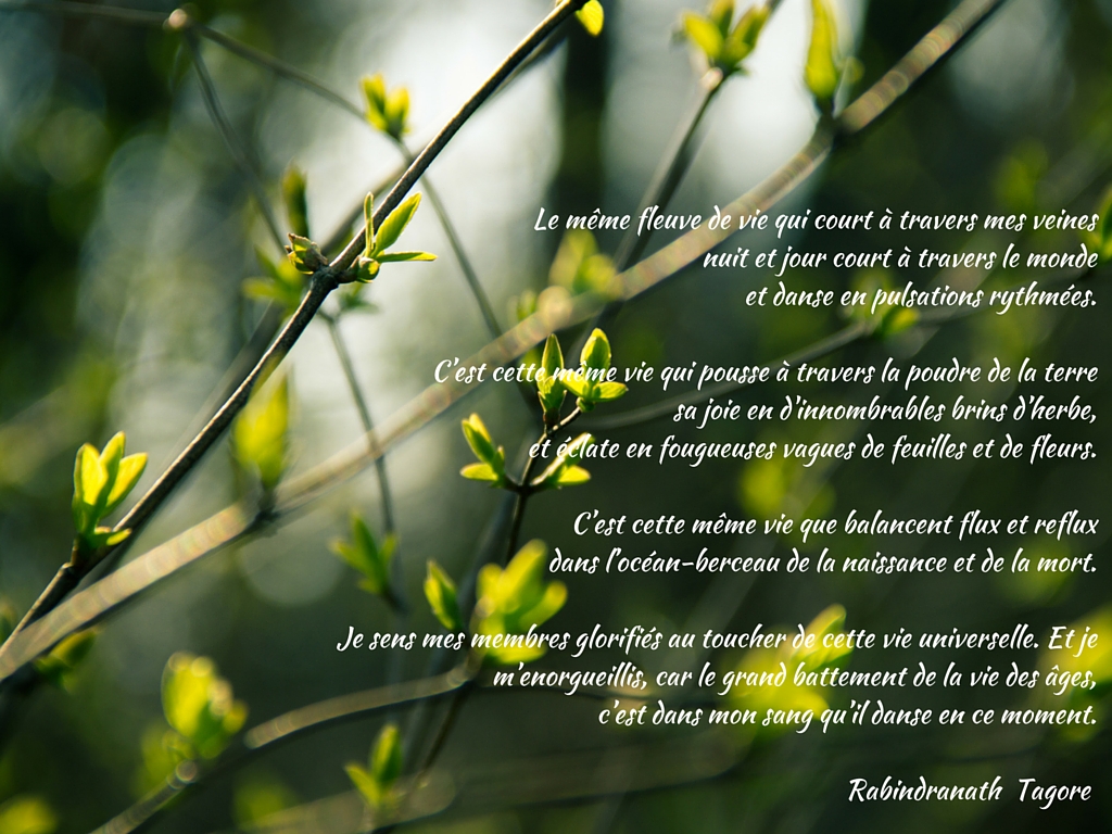 Tagore