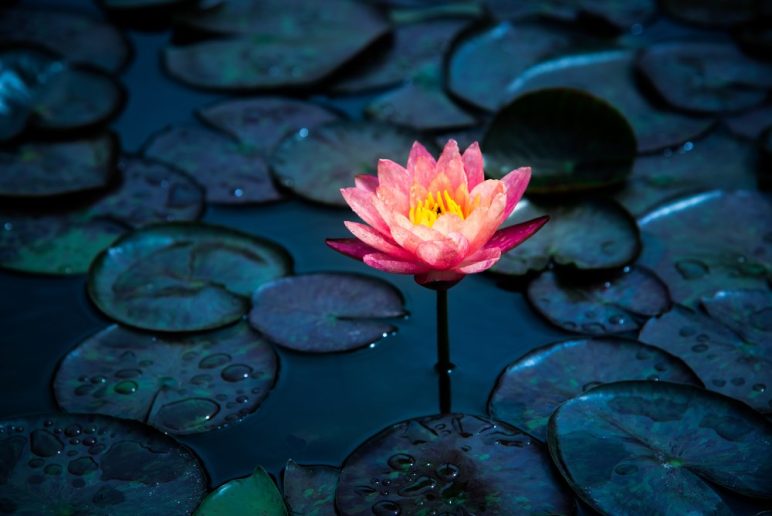 effort de pas faire d'effort